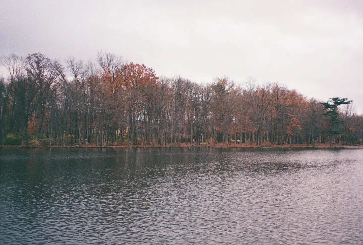 Coe Lake II