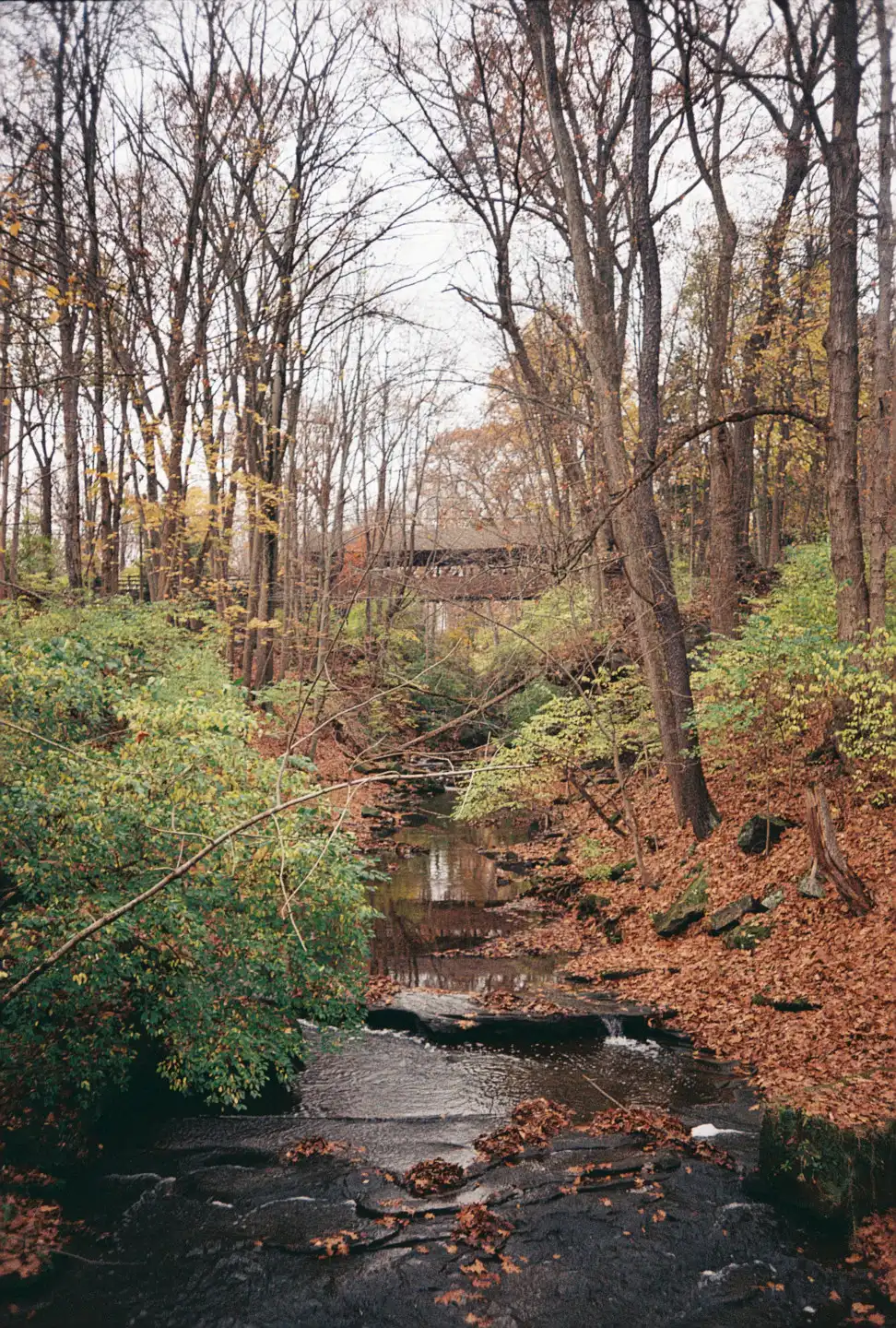 Covered Bridge at The Falls