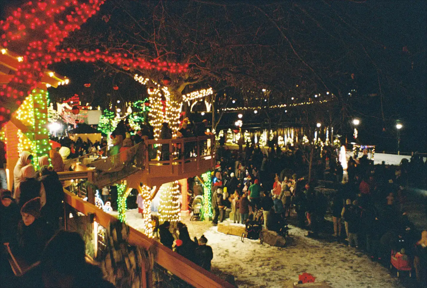 Jack Frost Festival III