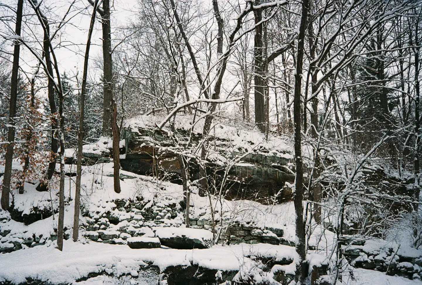 River Park in Winter IV