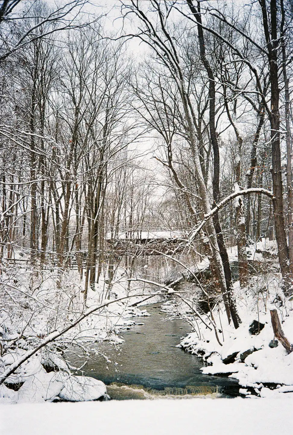 River Park in Winter V