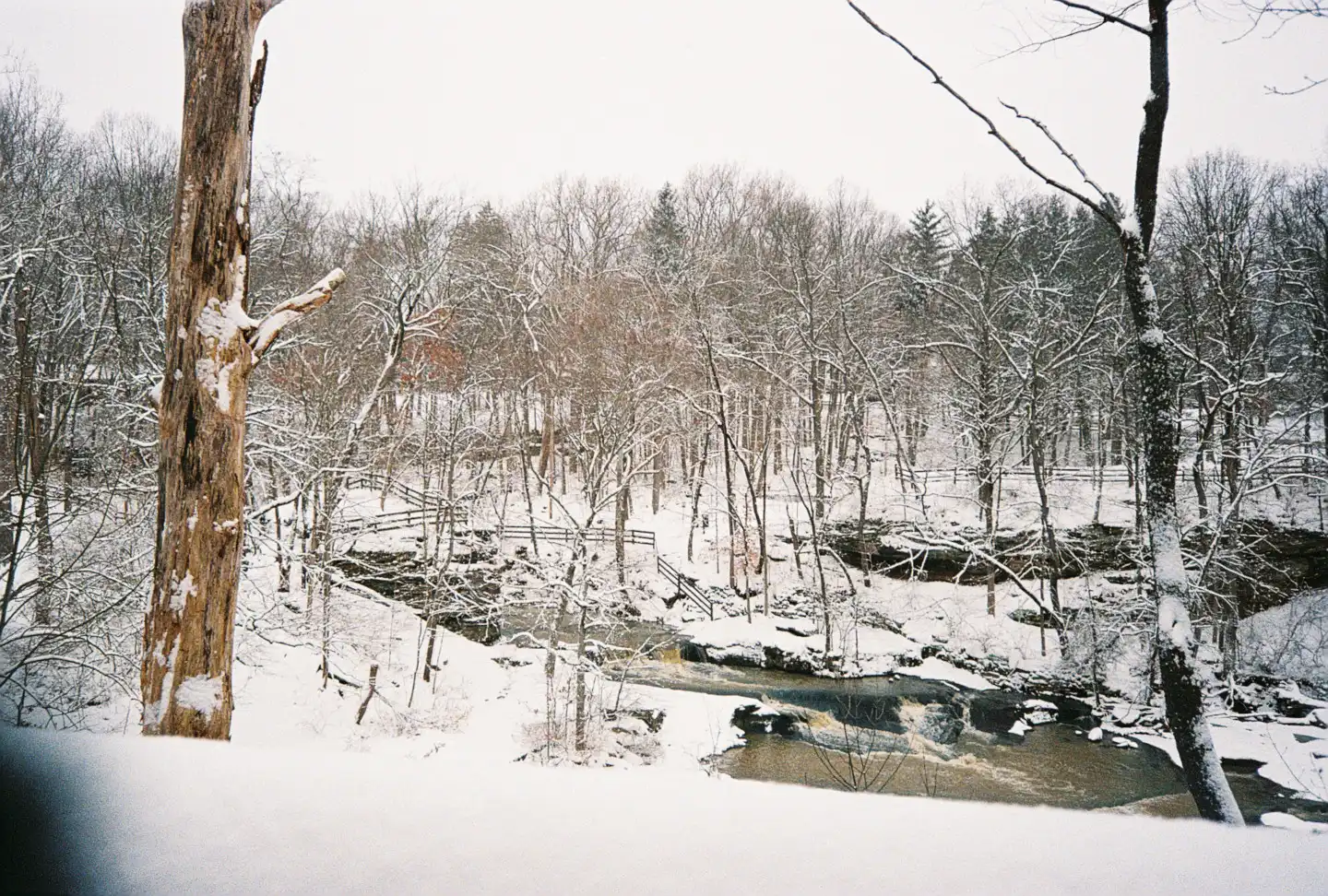 River Park in Winter IX