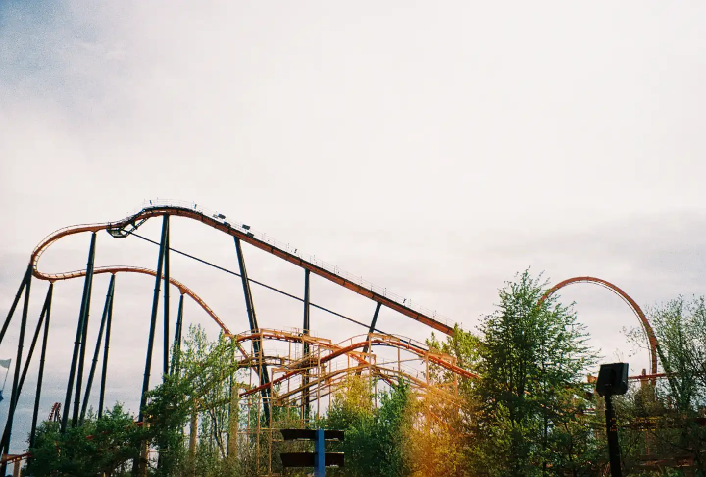 Rougarou II