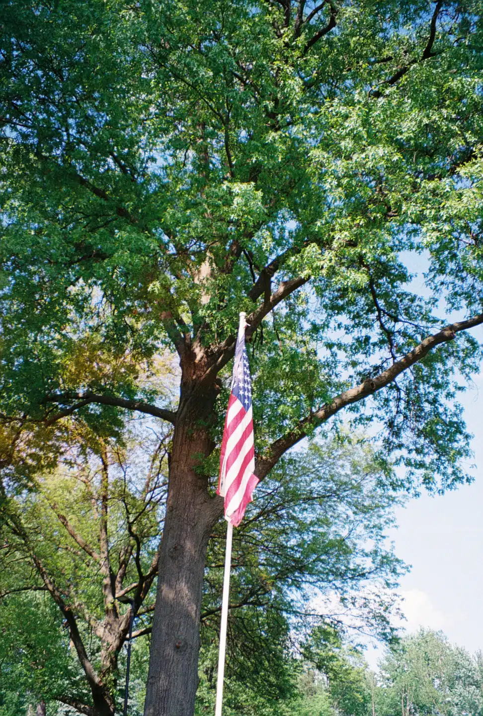 American Flag in the Park