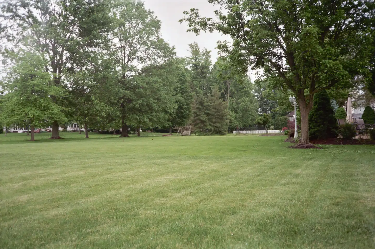 Back Yard Before Neighbors Put in the Playground
