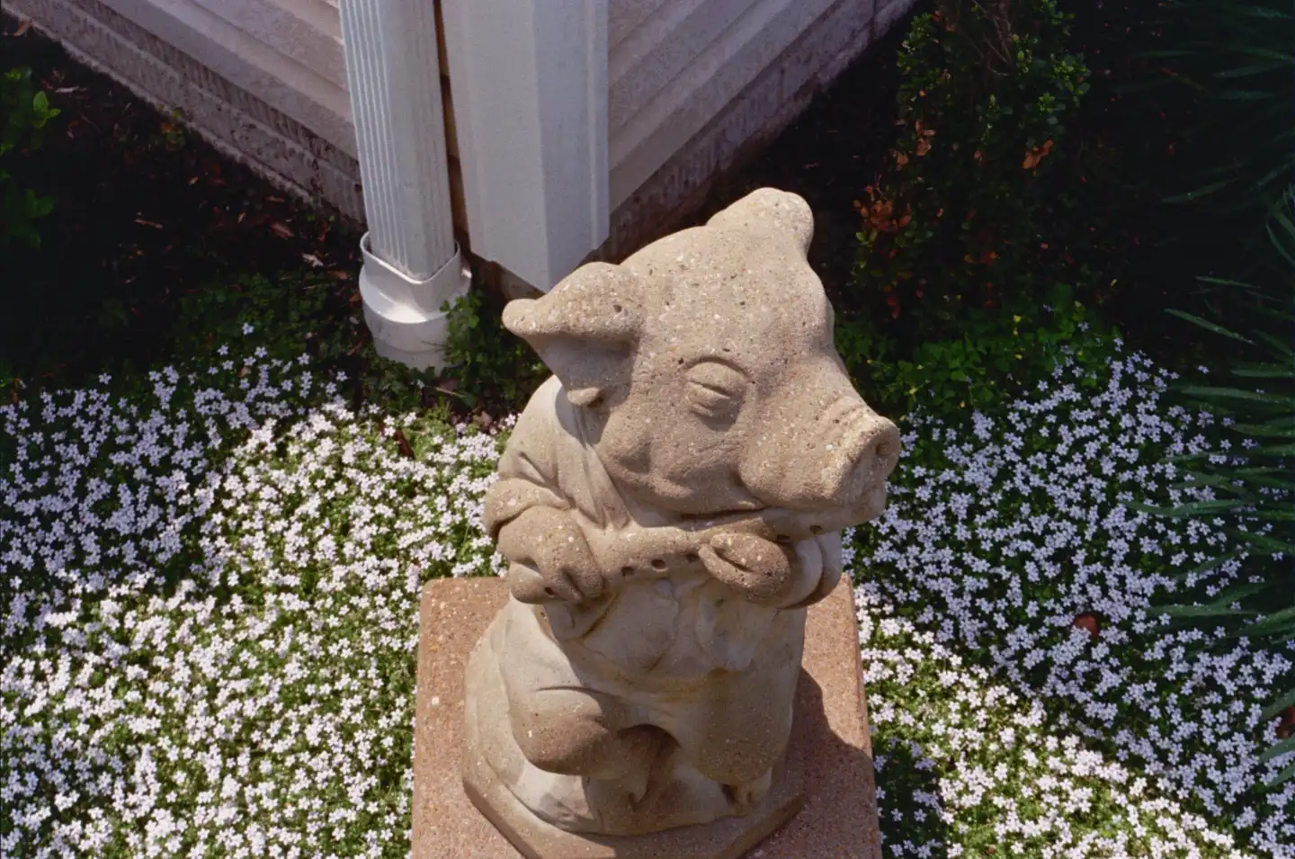 Flute Pig Statue