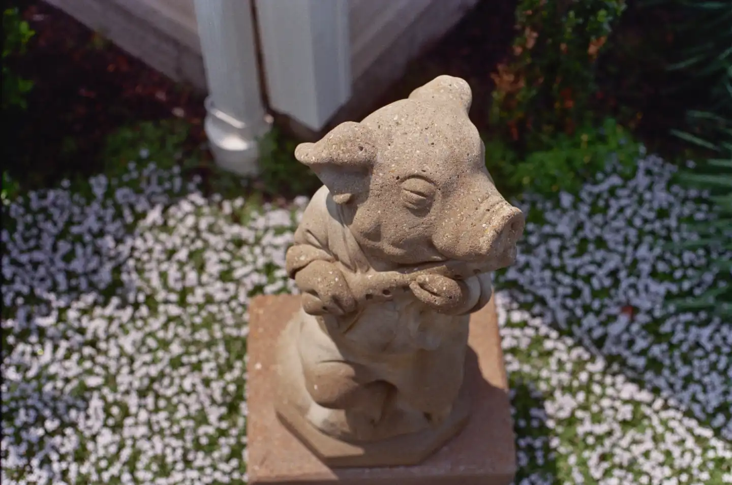 Flute Pig Statue II
