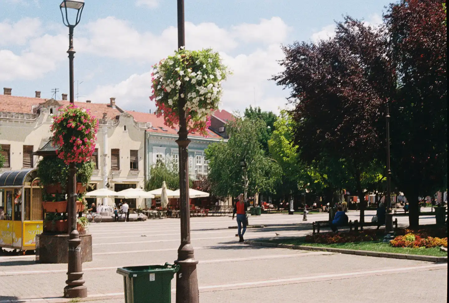Downtown Vrsac V