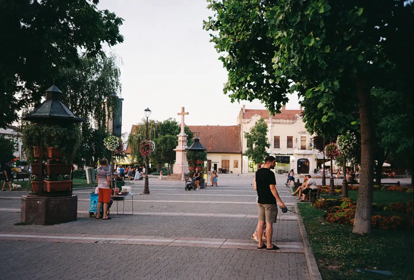 Downtown Vrsac VI