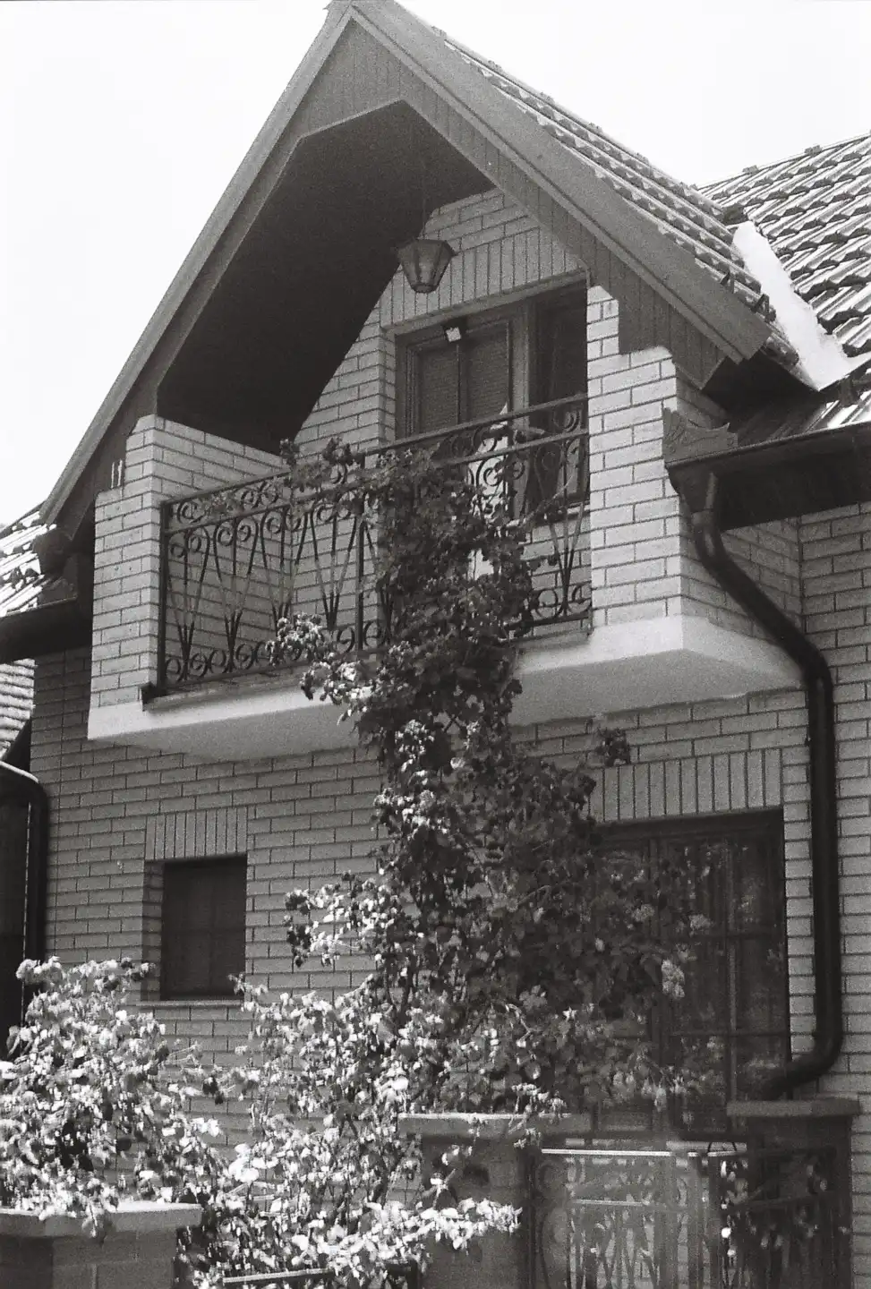 Village of Grebenac VI