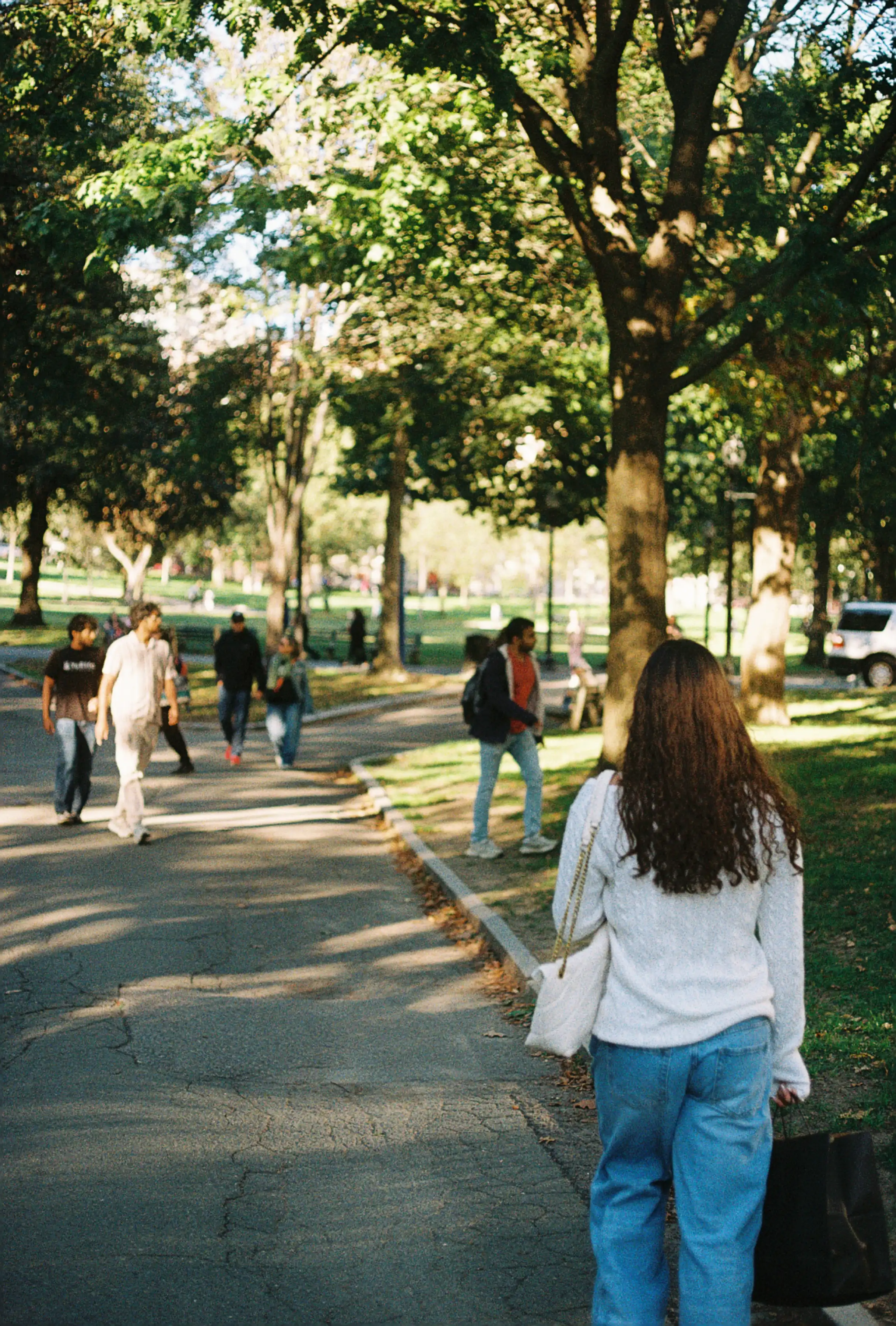 People in the Park