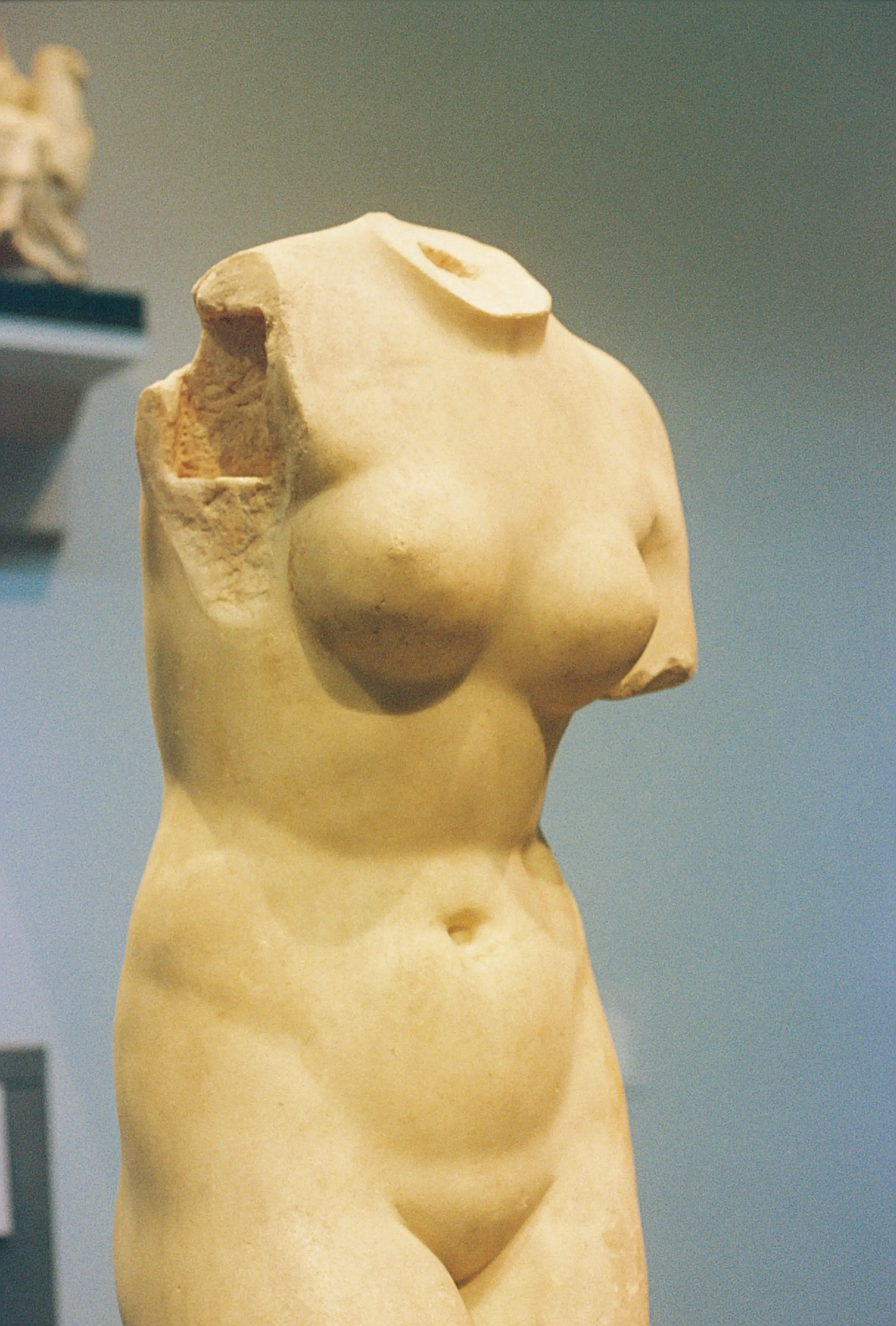 Torso of Venus