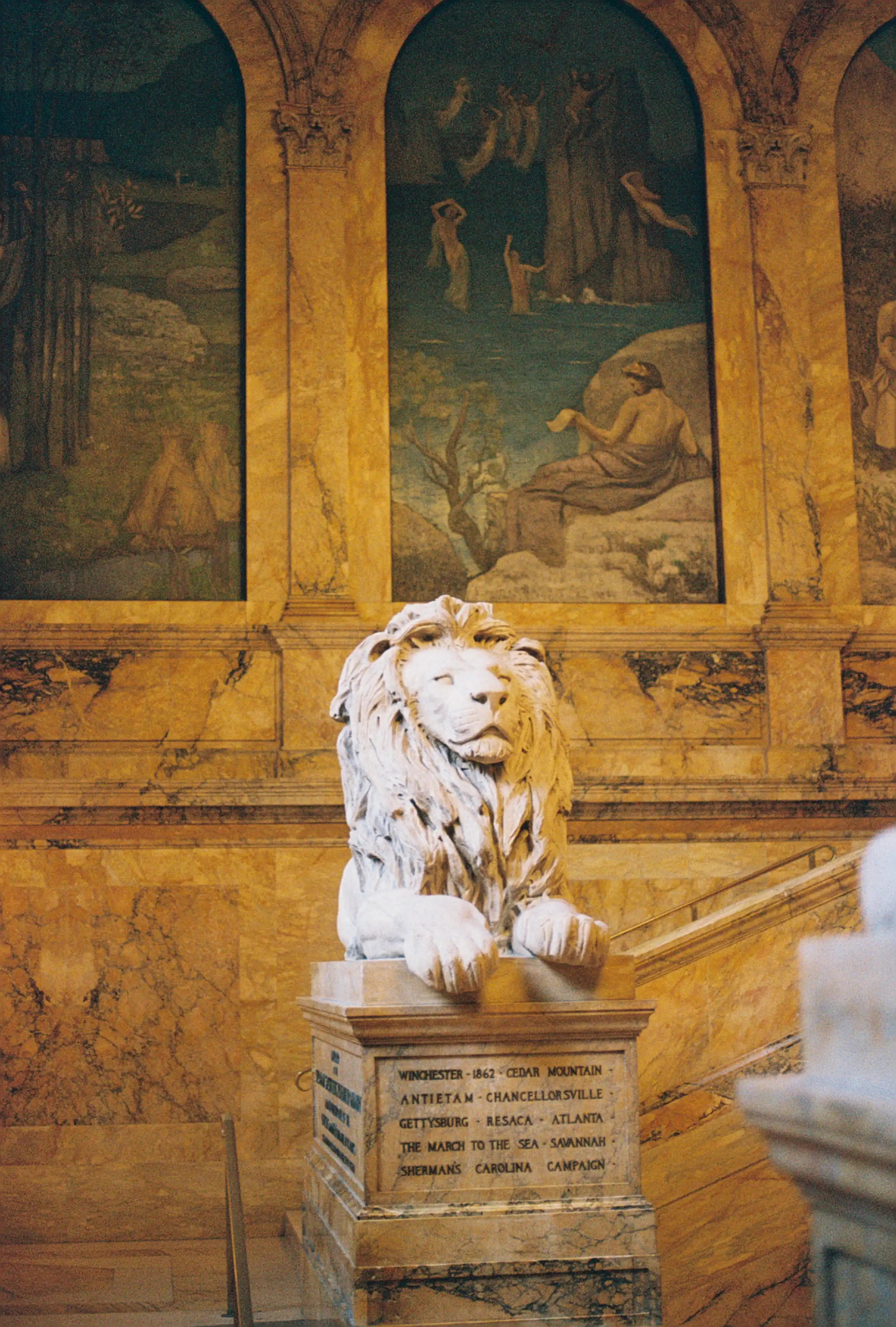 Lion in the Library