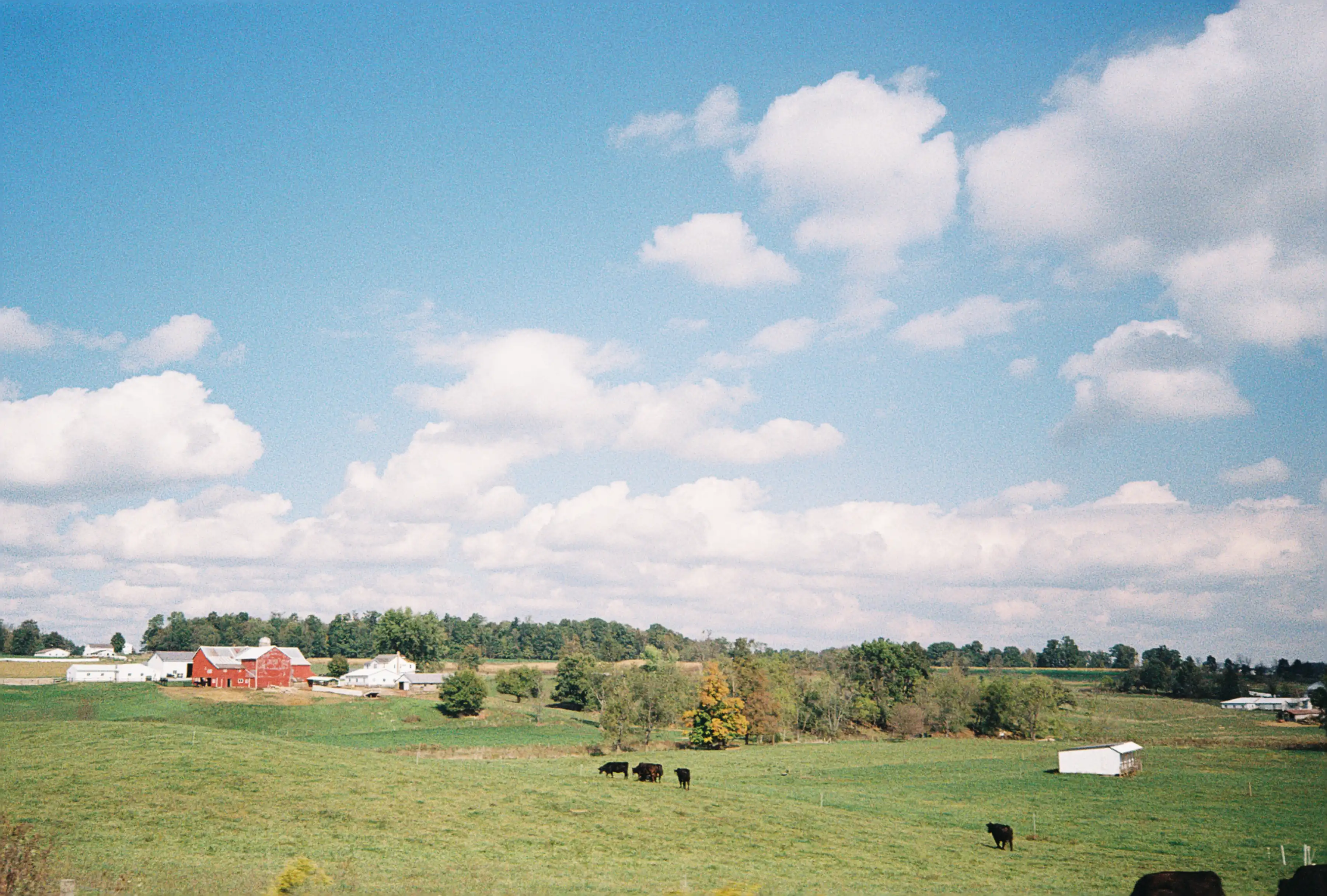 Driving Through Amish Country