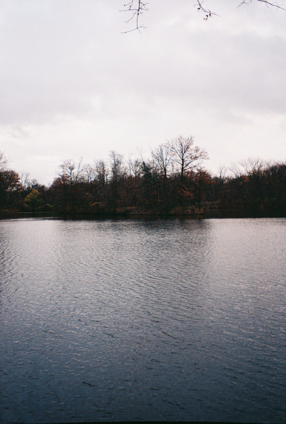 Coe Lake III