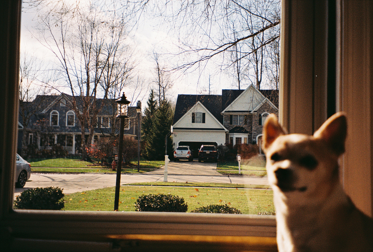 Jake Looking out Front