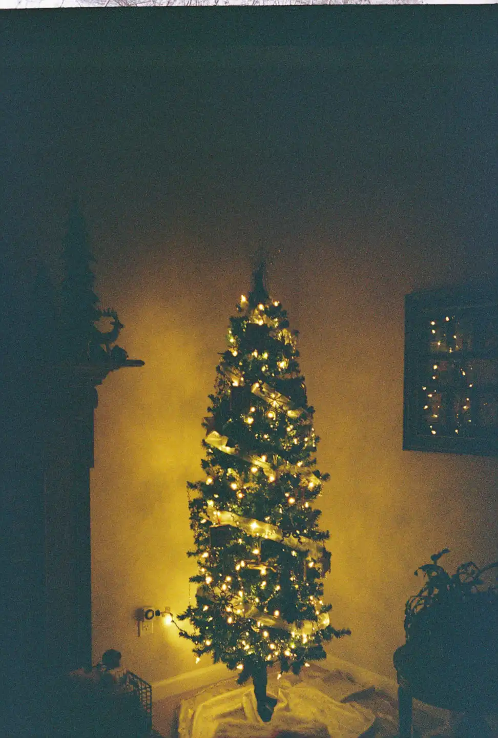 Christmas Tree at my Home