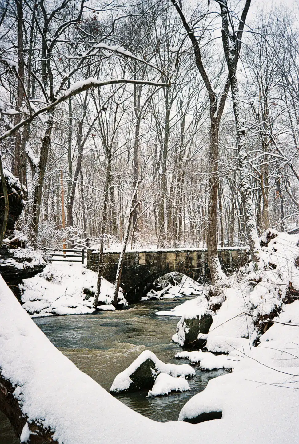 River Park in Winter VI