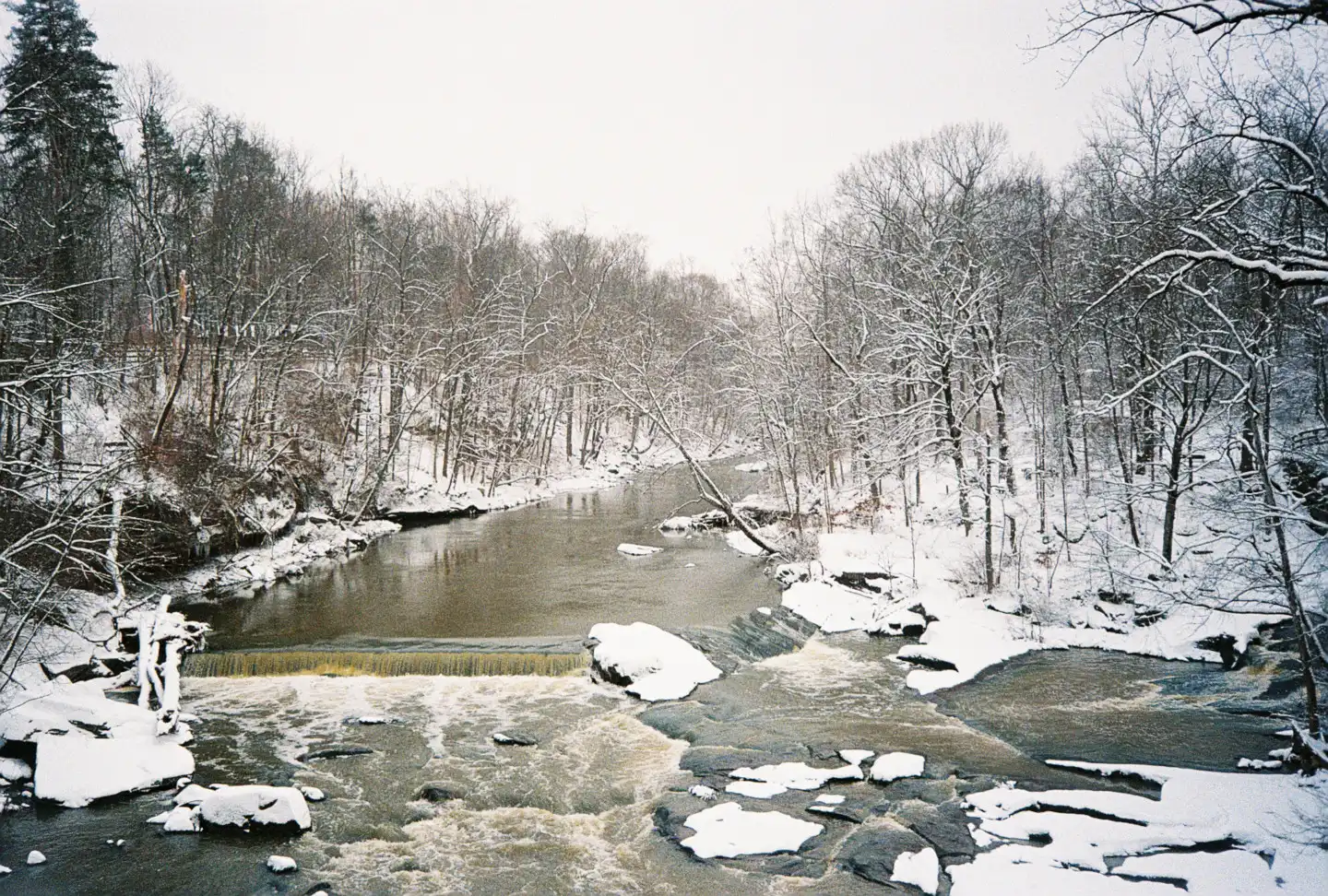 River Park in Winter VII