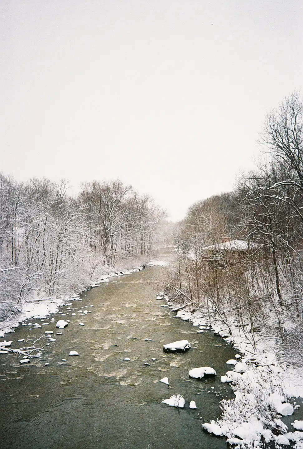 River Park in Winter VIII