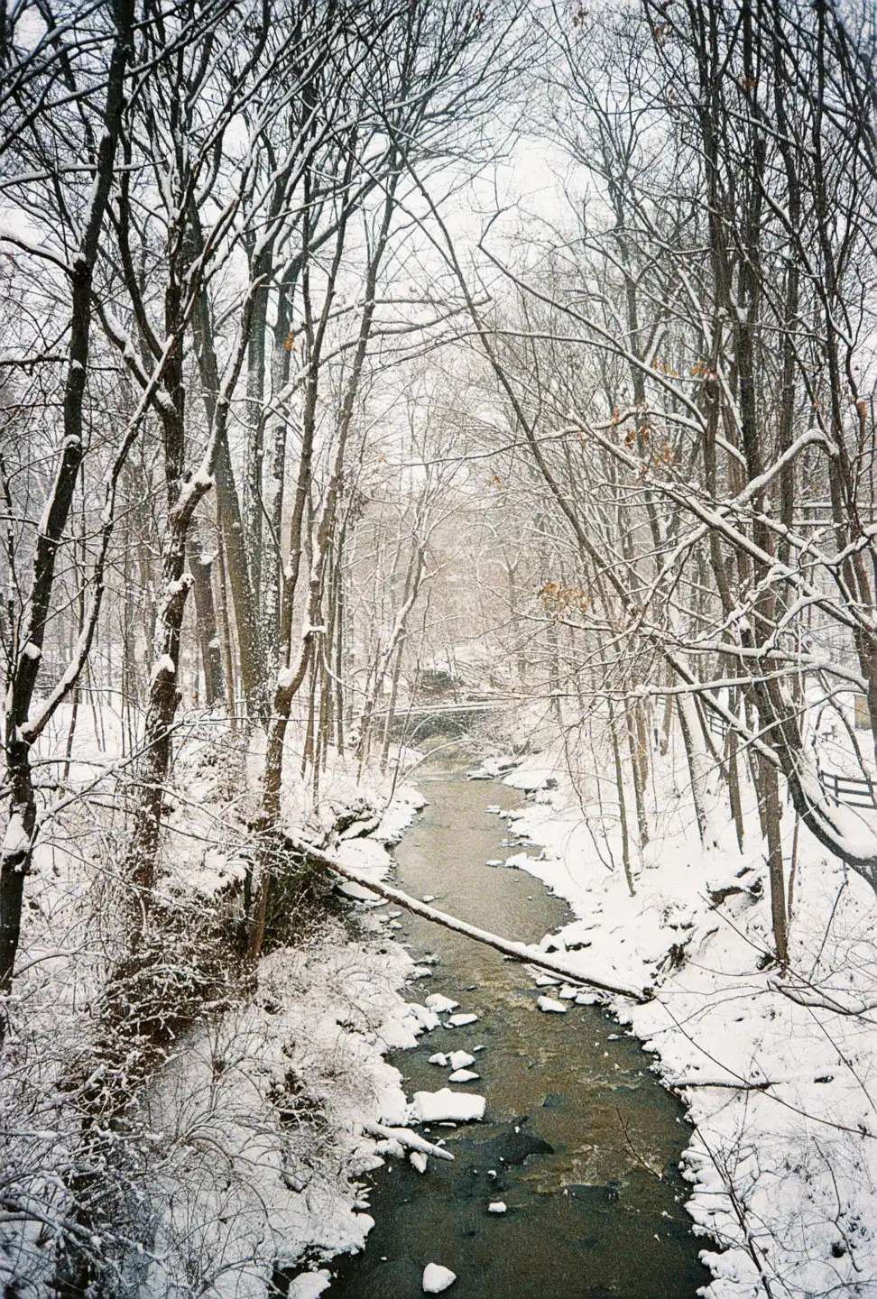 View From the Covered Bridge